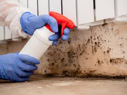 Trusted Holton, KS Mold Inspection Experts